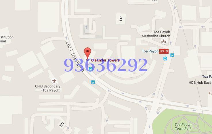 Oleander Towers (D12), Apartment #81888332